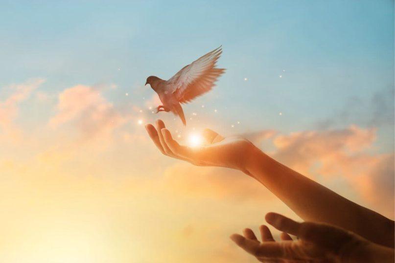 Kaip atleisti, kai niekada nesulaukiate atsiprašymo: psichologų įžvalgos