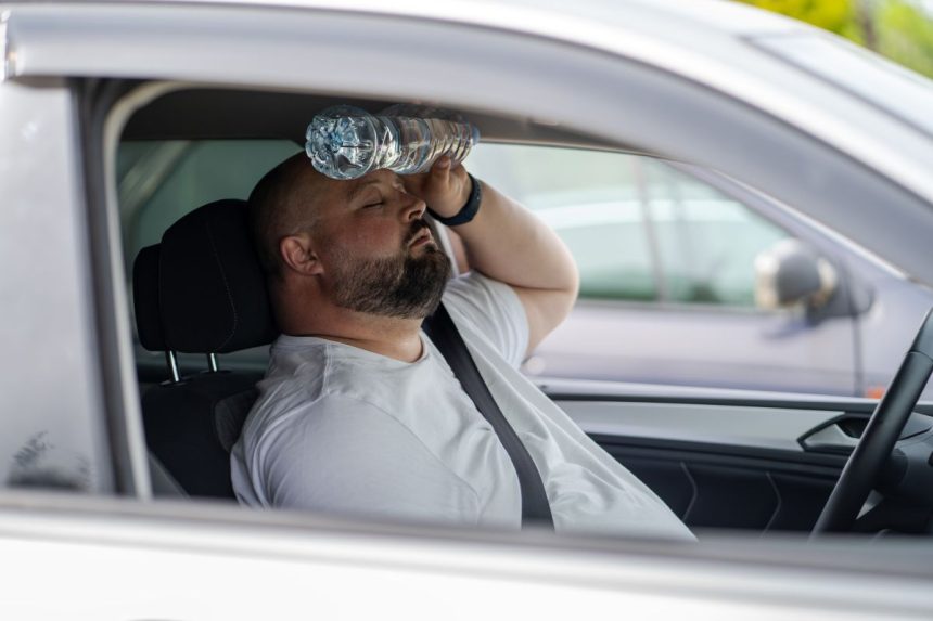Kaip atvėsinti automobilį vasarą be kondicionieriaus: mokslininkės patarimas