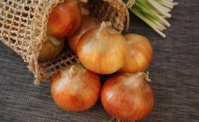 Kaip naudoti svogūnus kenkėjų atbaidymui namuose