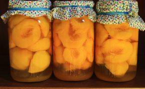 Kaip paruošti persikų puseles žiemai: paprastas receptas