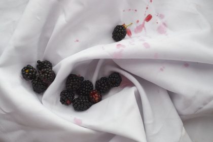 Kaip pašalinti uogų dėmes iš drabužių: veiksmingi būdai