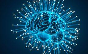 Kaip smegenys kuria atminties žemėlapius: naujas požiūris į mokymosi procesą