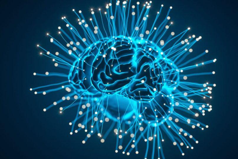 Kaip smegenys kuria atminties žemėlapius: naujas požiūris į mokymosi procesą