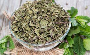 Kaip teisingai džiovinti mėtas žiemai: dažniausios klaidos ir patarimai