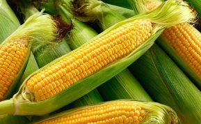 Kokios 5 daržovės neleidžia sulieknėti