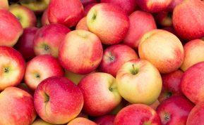 Kokių ligų galima išvengti reguliariai valgant obuolius?