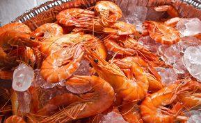 Kuo skiriasi tigrinės, karališkosios ir paprastos krevetės?