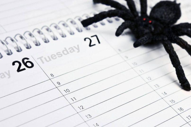 Mažų gyvūnų fobija: dirbtiniu intelektu paremtas tyrimas