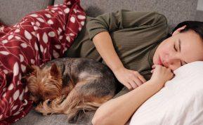 Miegas su augintiniu: naudinga ar žalinga?