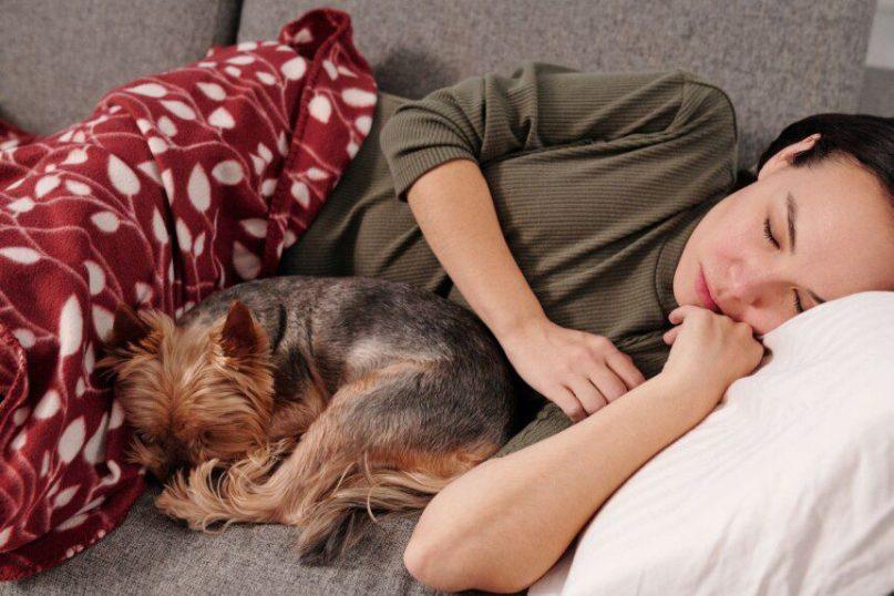 Miegas su augintiniu: naudinga ar žalinga?