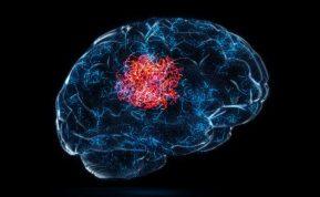 Mokslininkai atrado įrodymų, kad atmintis egzistuoja ne tik smegenyse