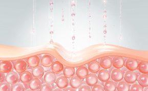 Mokslininkai atskleidė: „zombinės“ odos ląstelės nevienodos