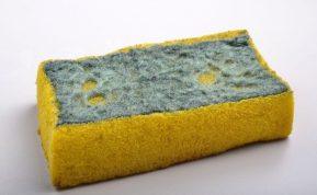 Nemeskite senų kempinių – jos gali praversti sode!