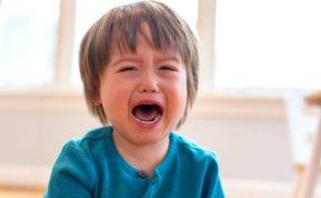 Savininkas išvarė šeimą dėl verkiančių vaikų