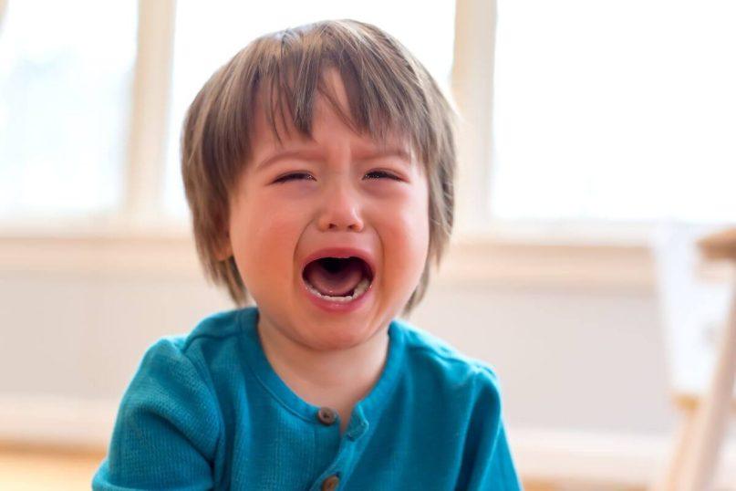 Savininkas išvarė šeimą dėl verkiančių vaikų