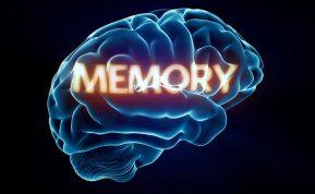 Sensorinė stimuliacija kognityvinių funkcijų gerinimui