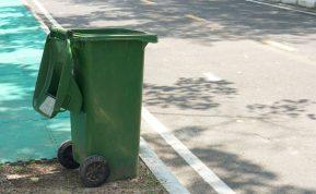 Šiurpus radinys: keisti garsai iš šiukšliadėžės