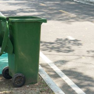 Šiurpus radinys: keisti garsai iš šiukšliadėžės