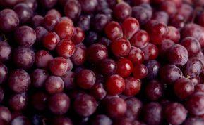 Vynuogės: supermaistas, kuris palaiko širdį, smegenis ir žarnyną