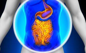 Žarnyno mikrobiota ir impulsyvumas: naujausi nuteistųjų tyrimai atskleidžia sąsajas