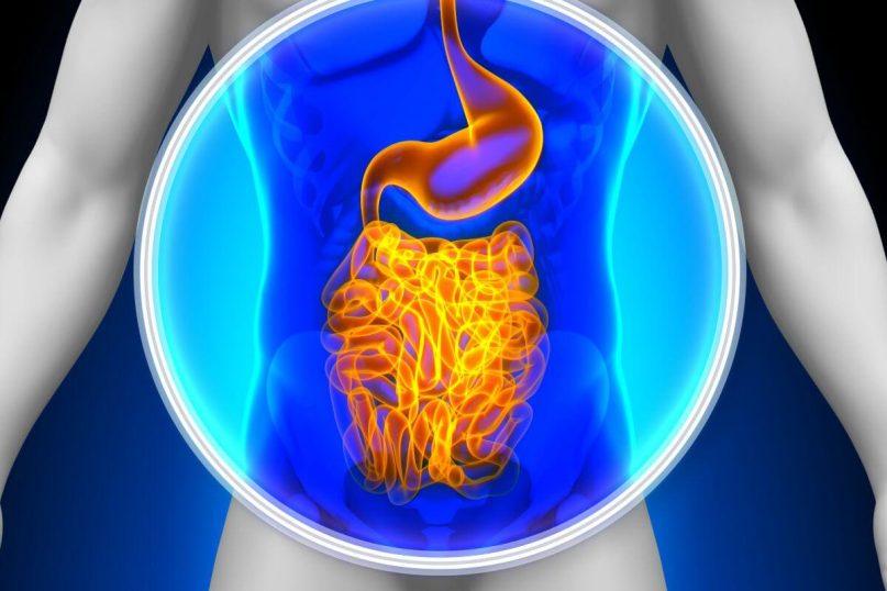 Žarnyno mikrobiota ir impulsyvumas: naujausi nuteistųjų tyrimai atskleidžia sąsajas
