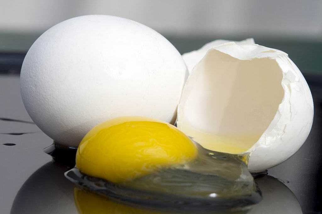 Kurie maisto produktai ir patiekalai gali būti užšaldomi? Kiaušiniai