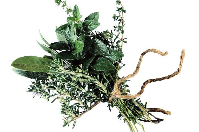 14 stebuklingų žolelių, kurios padeda įveikti kvėpavimo takų ligas