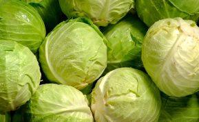 4 paprasti ir skanūs receptai su kopūstais.