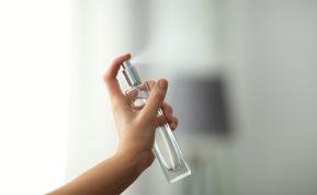 Apipurkškite duris ir langus šiuo mišiniu ir vapsvos niekada neįskris į namus