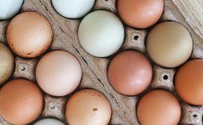 Ar skiriasi brangūs ir pigūs kiaušiniai. Kurie yra geresni?