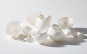 Daugiau niekada neišmesite kiaušinių lukštų: sužinokite, kur juos galima panaudoti!