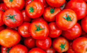 Geriausias patarimas, kaip laikyti pomidorus ištisus metus