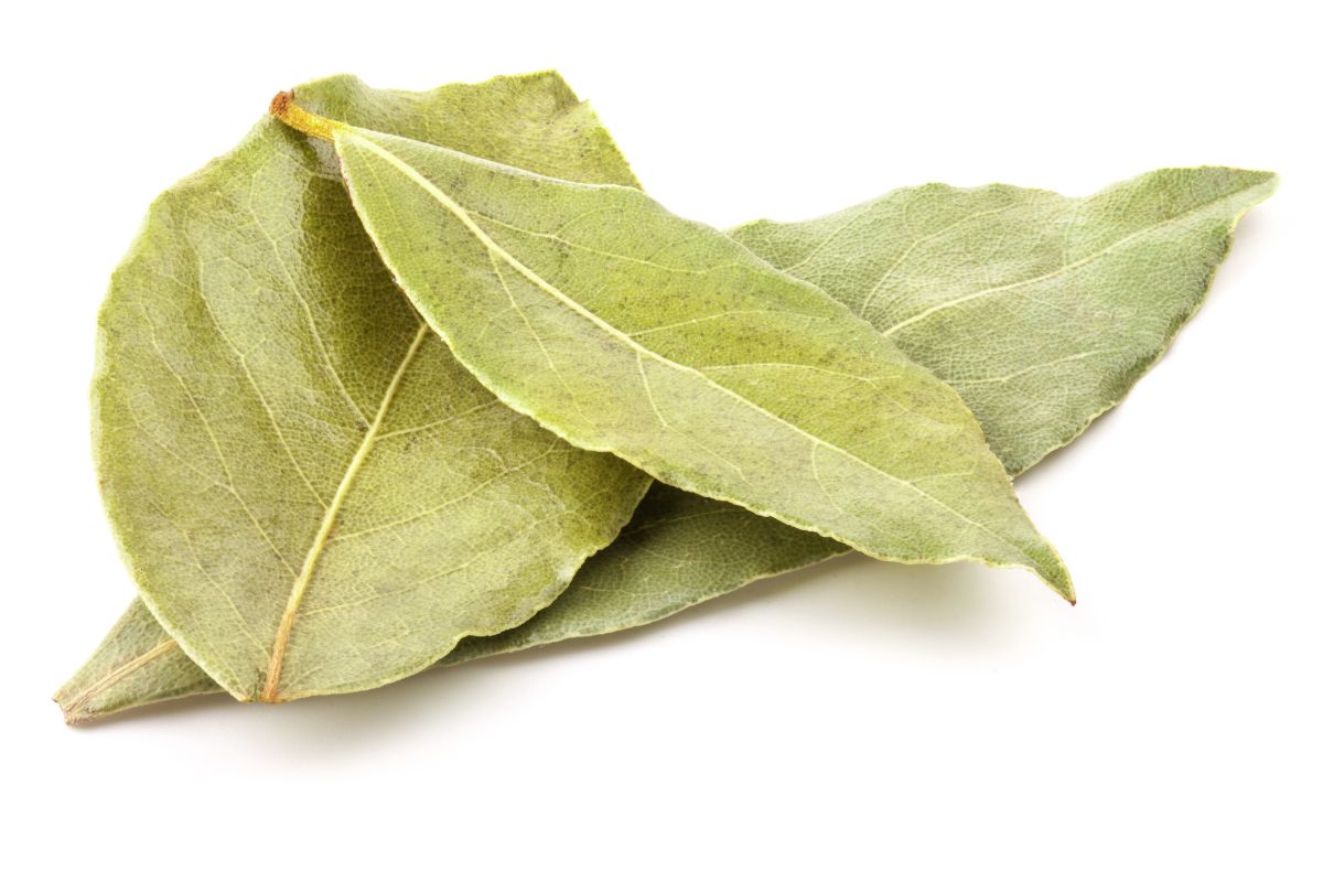 Išvirkite lauro lapus su cinamonu - šis gėrimas sumažins sąnarių skausmą ir kūno riebalus!