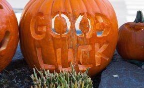 Kaip pritraukti sėkmę rudenį? Naudingi patarimai