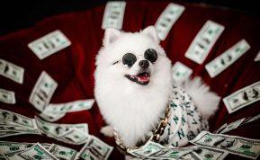 Kaip pritraukti turtus: 5 pratimai, kurie padės