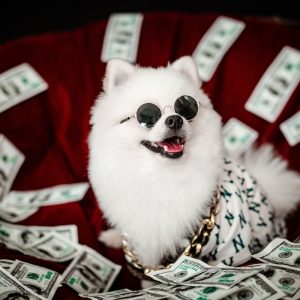 Kaip pritraukti turtus: 5 pratimai, kurie padės