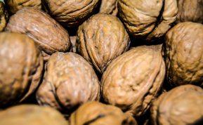 Kodėl augalams reikalingi riešutų lukštai? Sužinokite