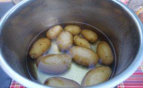 Kodėl mūsų močiutės niekada neišpildavo bulvių nuoviro? Sužinokite šias 8 svarbias priežastis!