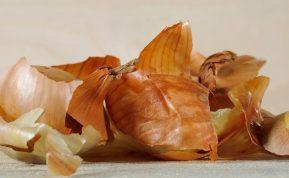 Kur virtuvėje praverčia svogūnų lukštai? 5 netikėti sprendimai