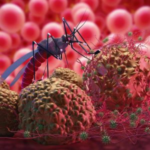 Lūžis kovoje su Zika virusu: Brazilijos mokslininkai pristatė proveržį