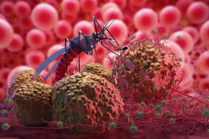Lūžis kovoje su Zika virusu: Brazilijos mokslininkai pristatė proveržį