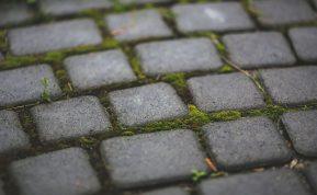 Norite atsikratyti samanų ir piktžolių nuo trinkelių Pasinaudokite šiuo triuku