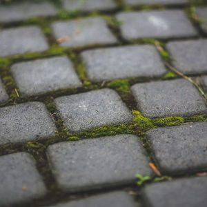 Norite atsikratyti samanų ir piktžolių nuo trinkelių Pasinaudokite šiuo triuku