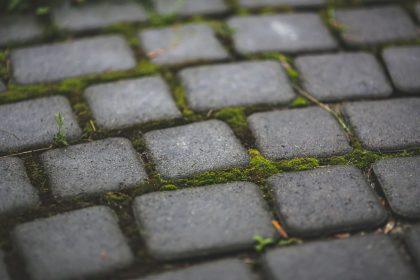 Norite atsikratyti samanų ir piktžolių nuo trinkelių Pasinaudokite šiuo triuku