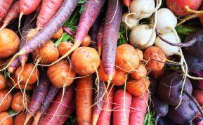 Šakninių daržovių lobynas: kaip rudenį nuimti derlių ir išsaugoti jį iki pavasario