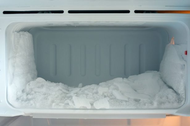 Šaldiklis daugiau nebeprišals! Su šių paprastų patarimų pagalba, jūs niekada nebeturėsite tokios problemos!