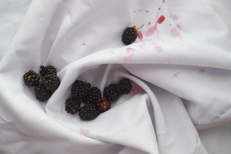 Šį metodą naudoja močiutės. Uogų dėmės išnyks iš karto!