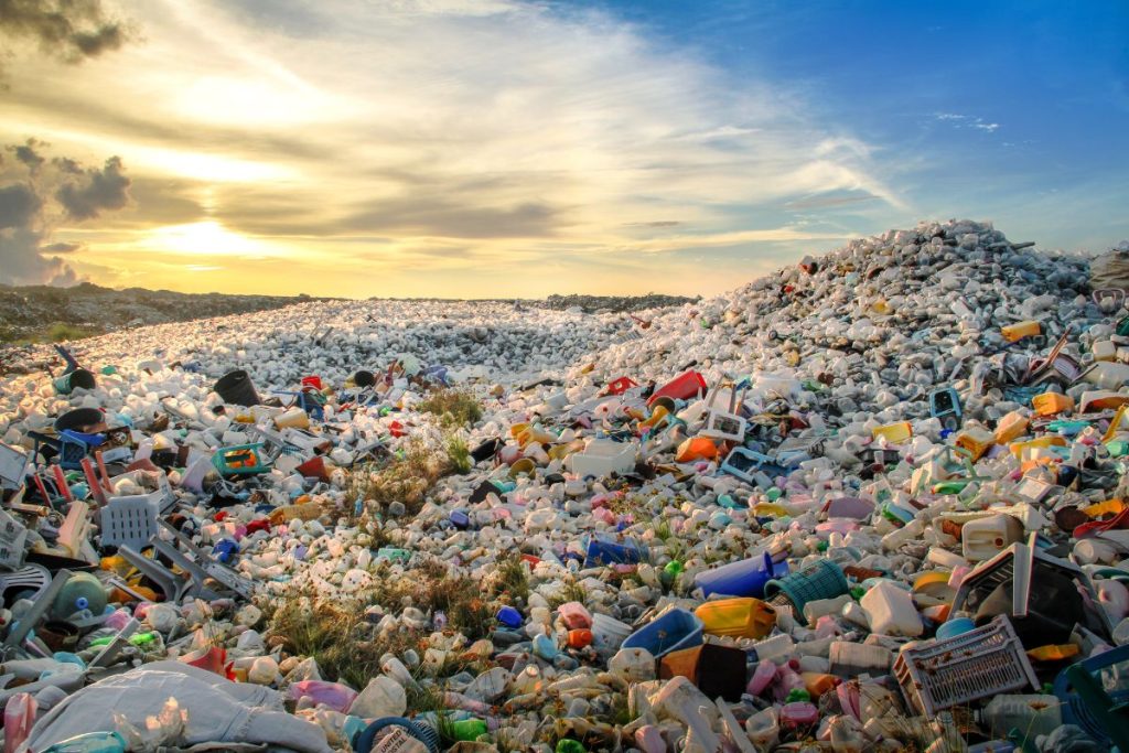Vikšrai, galintys per dieną „suvalgyti“ plastiko maišelį. Ar tai revoliucija plastiko perdirbime? Didžioji vaško kandis