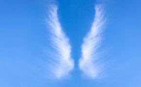 Ženklai iš viršaus: kaip angelai sargai įspėja apie pavojų