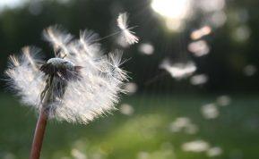 Atskleidžiame visas kortas: visų Zodiako ženklų slapčiausi norai